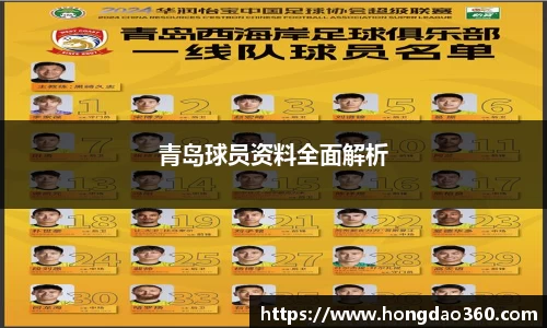 青岛球员资料全面解析
